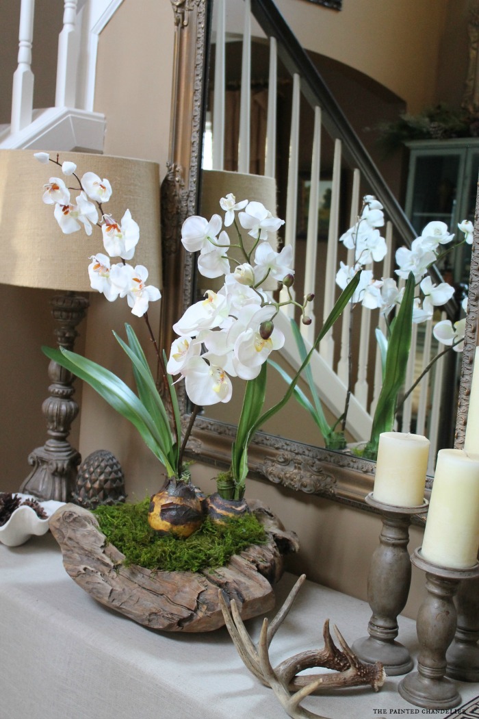 How to Make an Orchid in a Rustic Bowl Arrangement